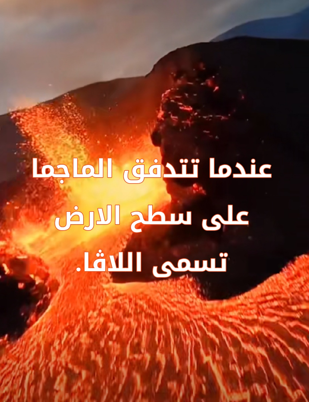 تجربتي والخبرات الحياتية وبيت العلم