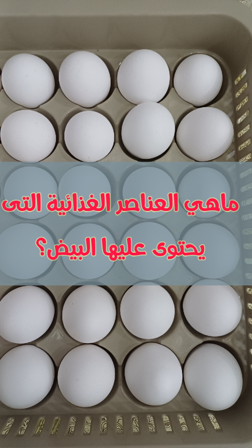 ماهي العناصر الغذائية التى يحتوى عليها البيض؟